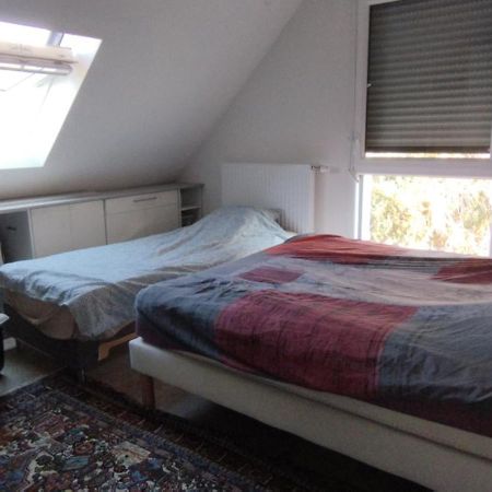 Au Coeur Du Vignoble Appartement Kaysersberg-Vignoble Buitenkant foto